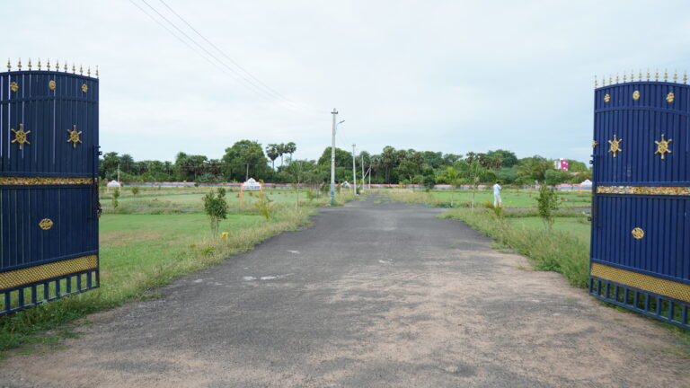 DSC07151