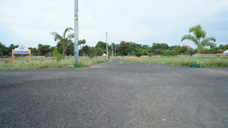 DSC07156
